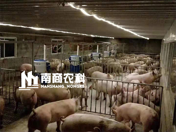 傳統人工養殖即將被取代，智能養殖大勢所趨，小智倌嶄露頭角