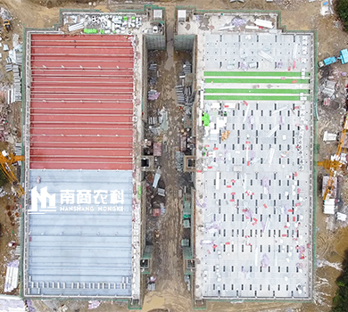 南商農科：貴州遵義高樓養殖規模14400頭母豬場