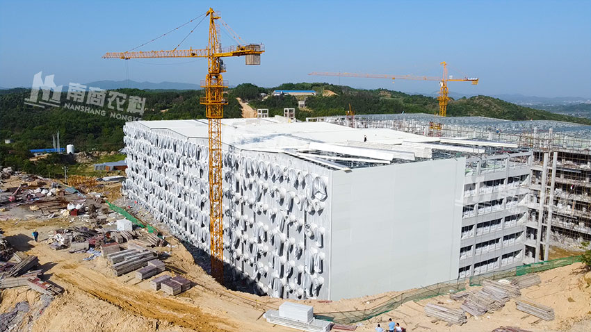 正邦蘄春年出欄30萬頭高樓豬場項(xiàng)目