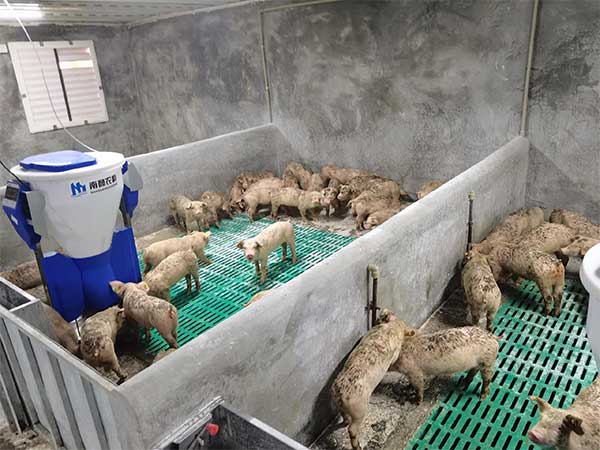 500頭母豬的養(yǎng)豬場(chǎng)全套設(shè)備那里賣的，多少錢一套？