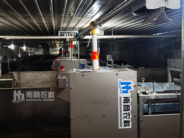 種豬性能測定站助力如何輕松選育最佳種豬