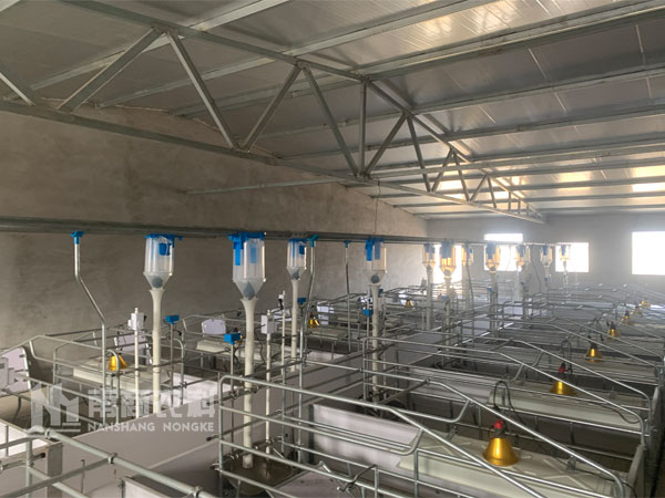 現(xiàn)代化養(yǎng)豬場(chǎng)如何控制成本？