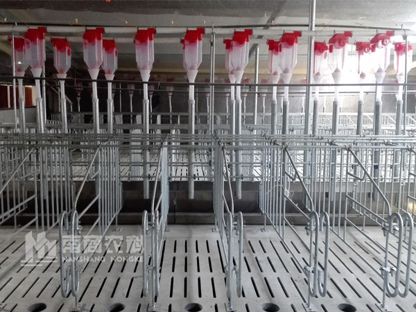 現(xiàn)代化豬場(chǎng)如何建設(shè)？