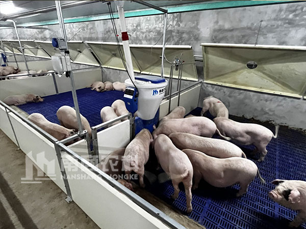 小智倌智能粥料器怎么減少飼料浪費