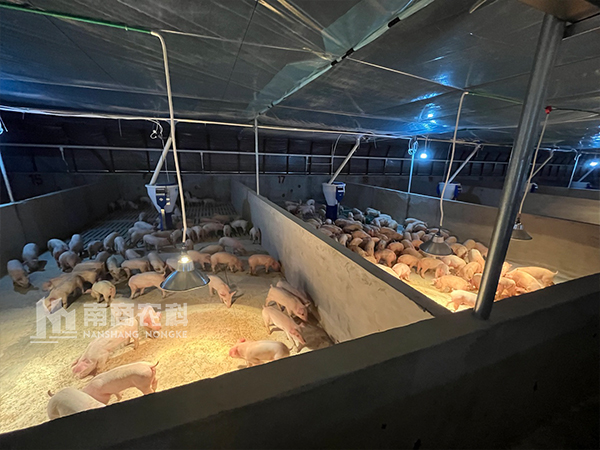 喜訊！又一批智能粥料器在湖北安家落戶！