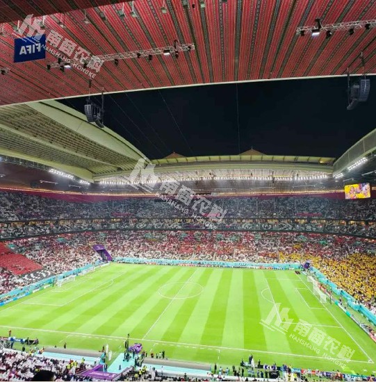 養(yǎng)豬人的“世界杯觀后感”會(huì)是怎樣？