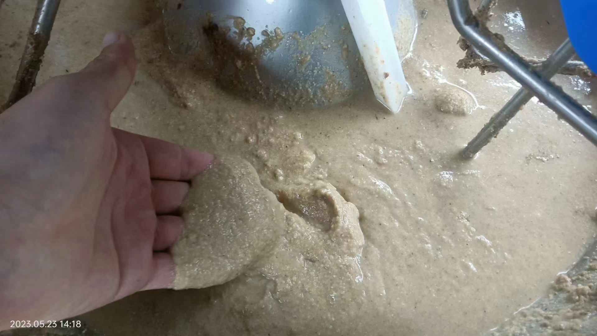 粥料飼喂與液態飼喂的優缺點對比