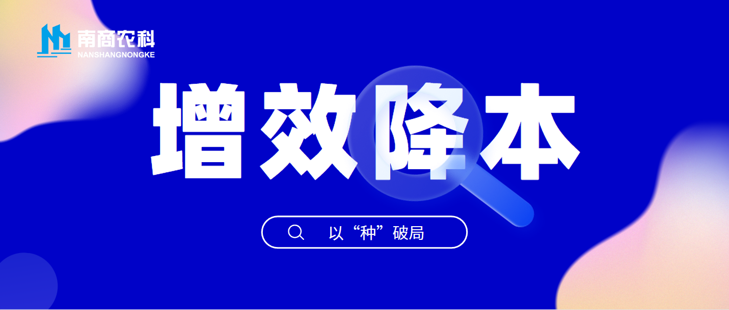 增效降本，以“種”破局