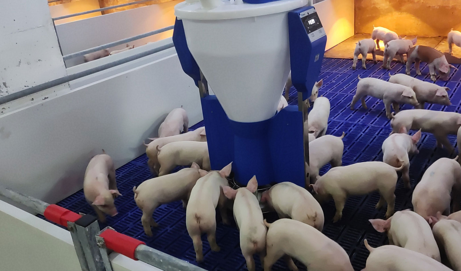 小智館-保育機，智能粥料器