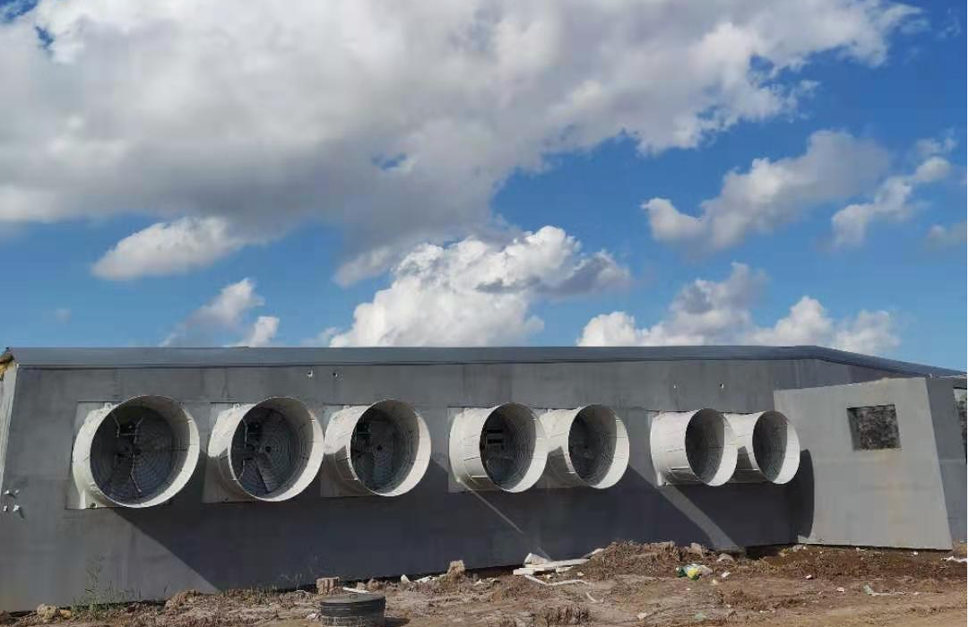 打造智能化養豬場，精準通風，豬舍智能環控系統助您實現養豬新突破！