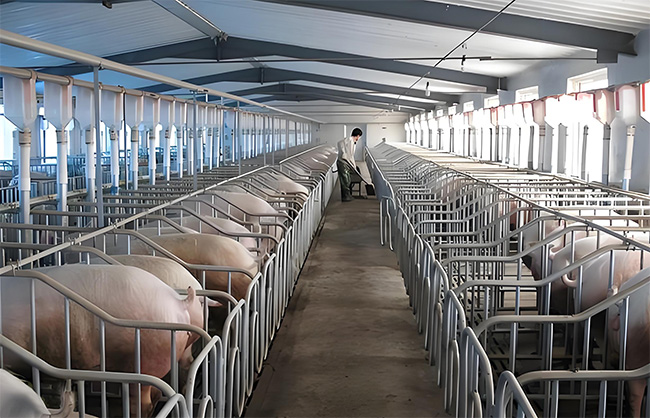 什么樣的母豬限位欄質(zhì)量好